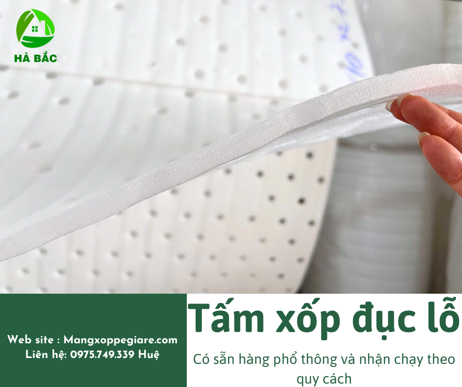 xuong-san-xuat-foam-lot-trai-cay